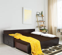 Load image into Gallery viewer, TRY- Full Moon NM 107 Sofa-Cum-Bed
