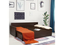 Load image into Gallery viewer, TRY- BC SLEEK NM S-107 P-NM-107 Sofa-Cum-Bed
