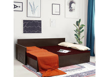 Load image into Gallery viewer, TRY- BC SLEEK NM S-114 /P-NM-114 Sofa-Cum-Bed
