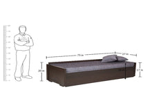 Load image into Gallery viewer, TRY-Sleek Sofa-Cum-Bed 4 x 6 NM-112
