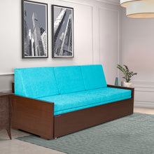 Load image into Gallery viewer, E- 717 Delux  R Sofa-cum-bed with Triangle Pillows

