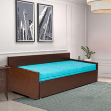 Load image into Gallery viewer, E- 717  R Sofa-cum-bed with-out Pillows
