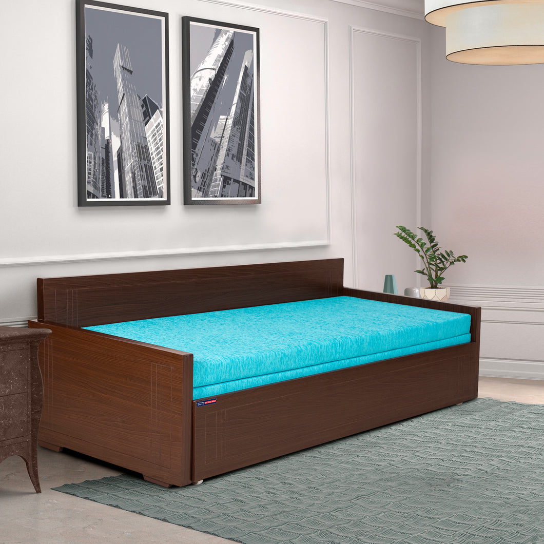 E- 717  R Sofa-cum-bed with-out Pillows