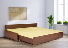Load image into Gallery viewer, V- DELBA  R Sofa-cum-bed with Fiber Pillows
